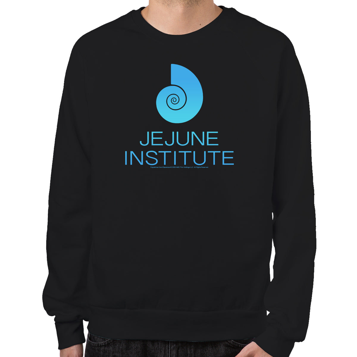 Jejune Institute Sweatshirt