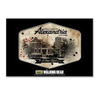 Load image into Gallery viewer, Alexandria Postcards (package Of 10)
