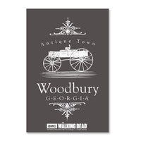 Load image into Gallery viewer, Woodbury Georgia Postcards (package Of 10)
